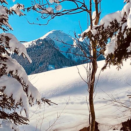 Appartements Living Saalbach Luaran gambar