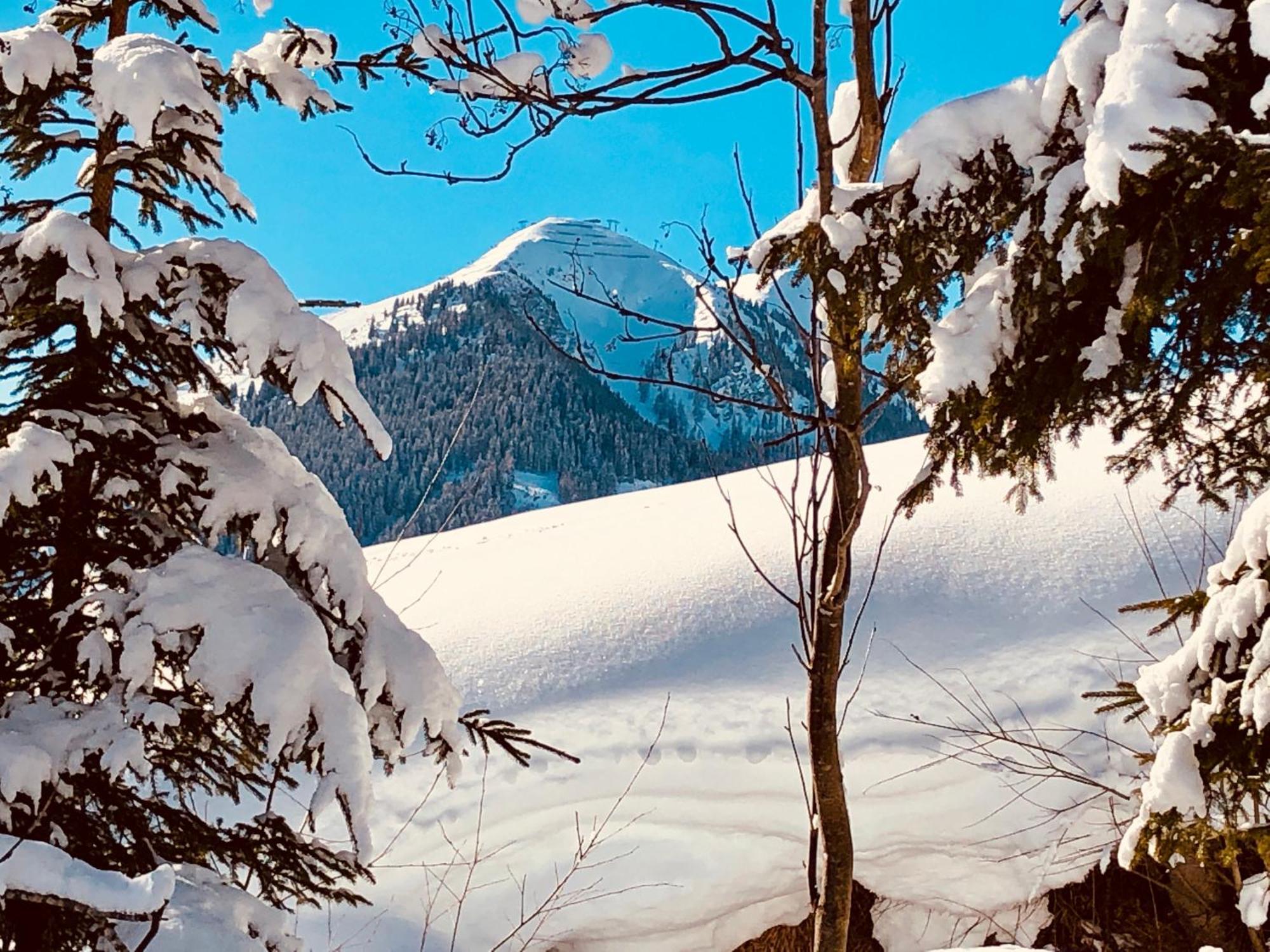Appartements Living Saalbach Luaran gambar